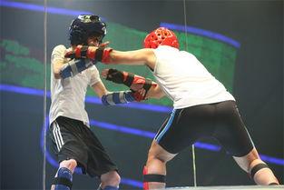 明星对打,璀璨星光下的激烈碰撞